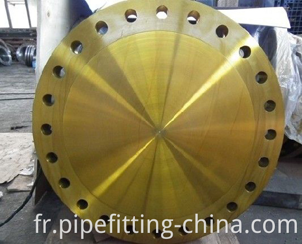 8 blind flange